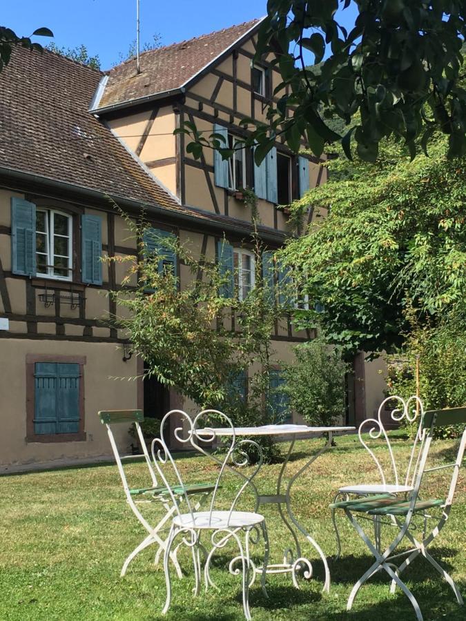 Le Gite Du Moulin Ribeauvillé Exterior foto